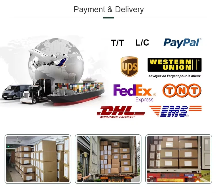 Company Profile2 Company Profile2